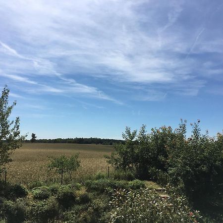 Schleiglueck Lägenhet Rieseby Exteriör bild